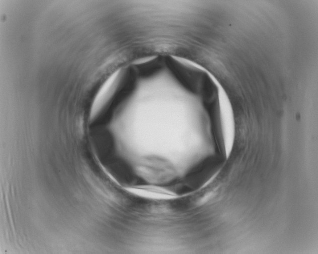 X0000088660262200706152040