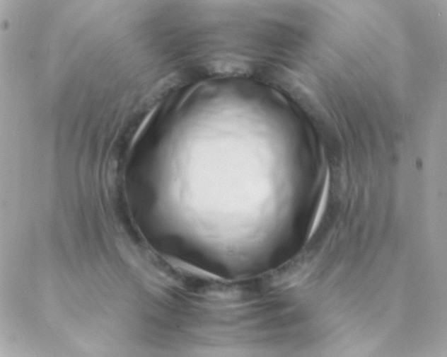 X0000088660263200706152040