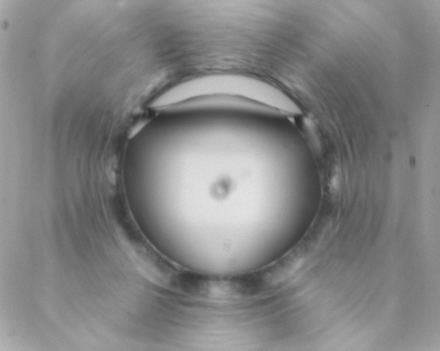 X0000088660264200706152040