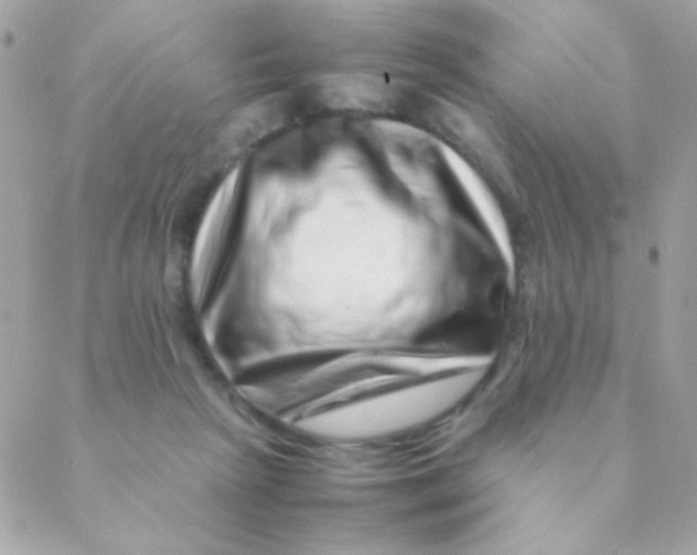 X0000088660265200706152040