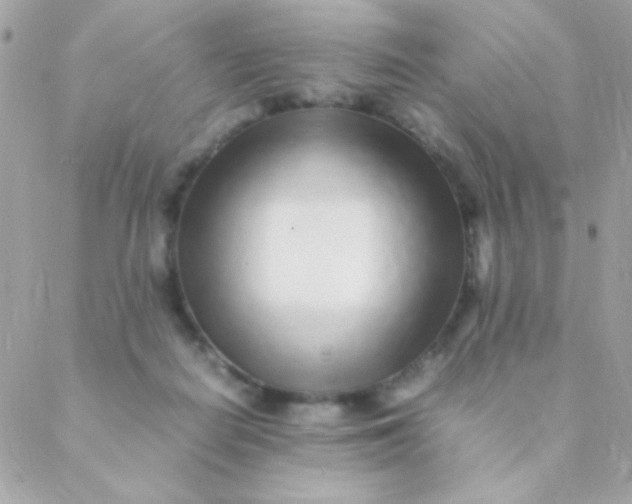 X0000088660266200706152040