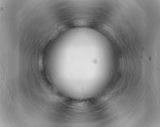 X0000088660267200706152040