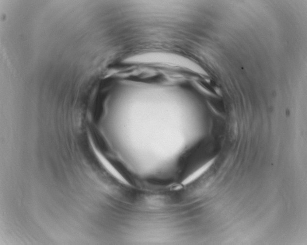 X0000088660268200706152040