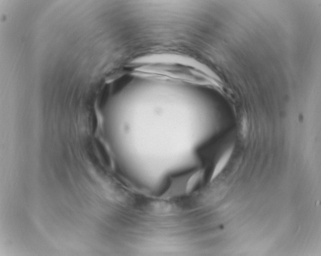 X0000088660272200706152040