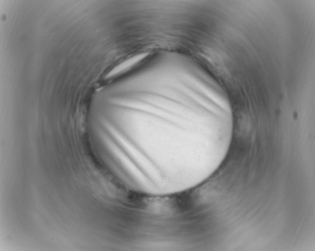 X0000088660273200706152040