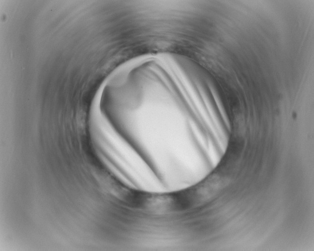 X0000088660274200706152040