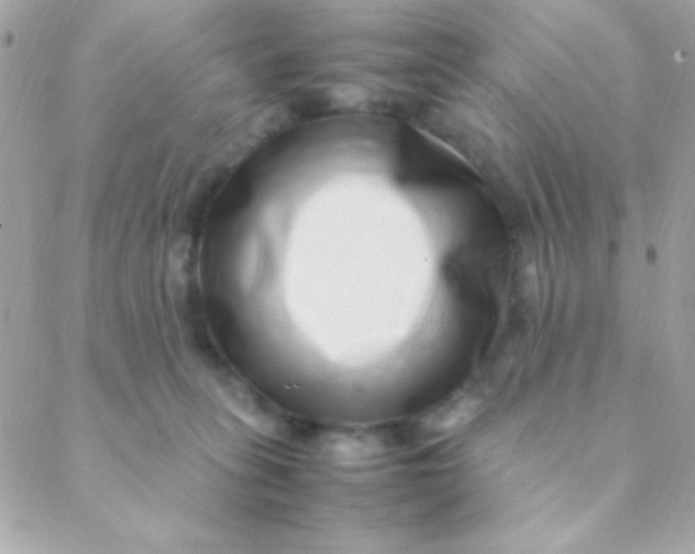 X0000088660275200706152040