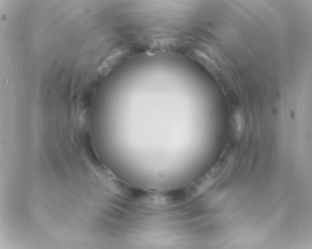 X0000088660276200706152040