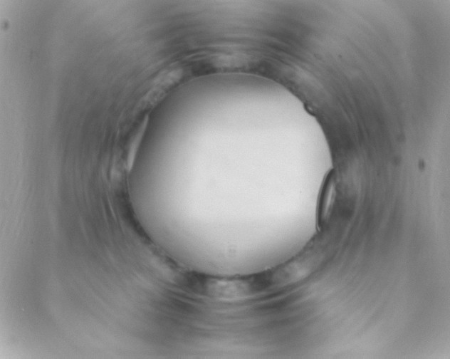 X0000088660277200706152040