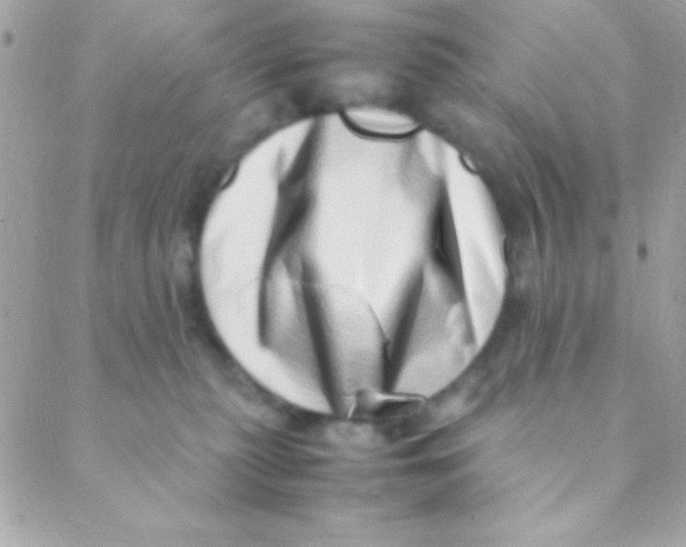 X0000088660279200706152040