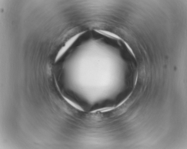 X0000088660282200706152040