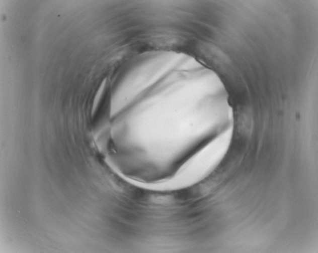 X0000088660283200706152040