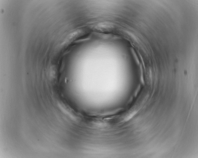 X0000088660284200706152040
