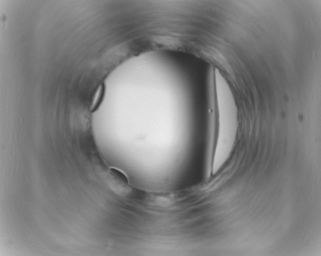 X0000088660285200706152040