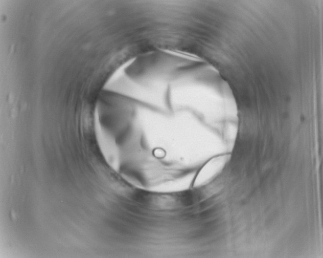X0000088660287200706152040