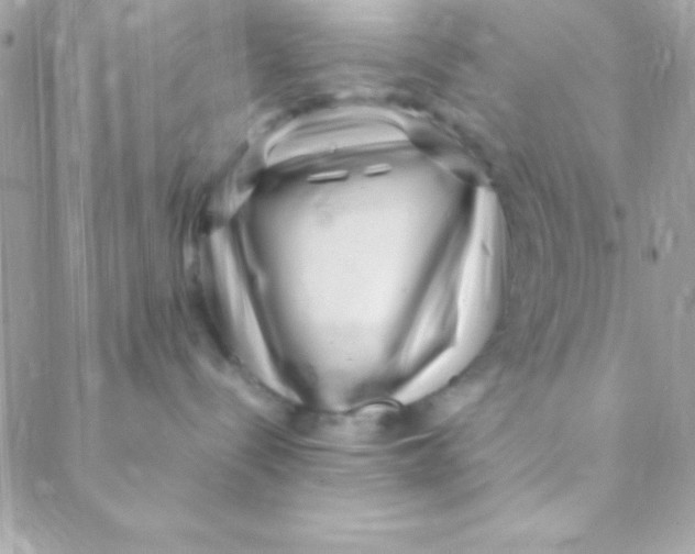 X0000088660288200706152040