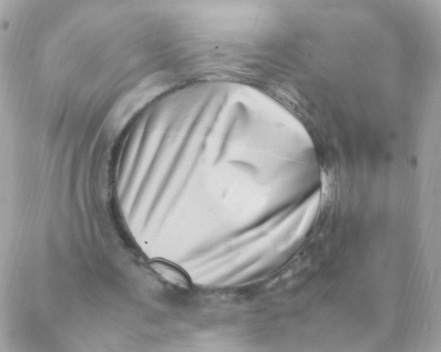 X0000088660291200706152039