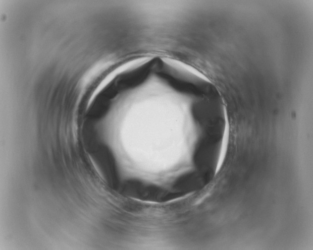 X0000088660294200706152039