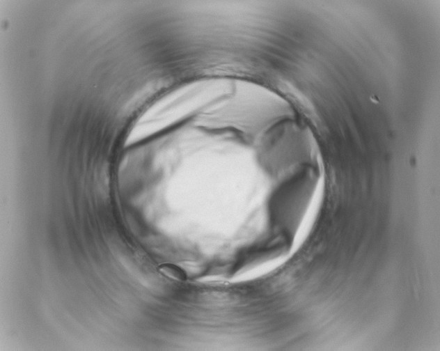 X0000088660298200706152039