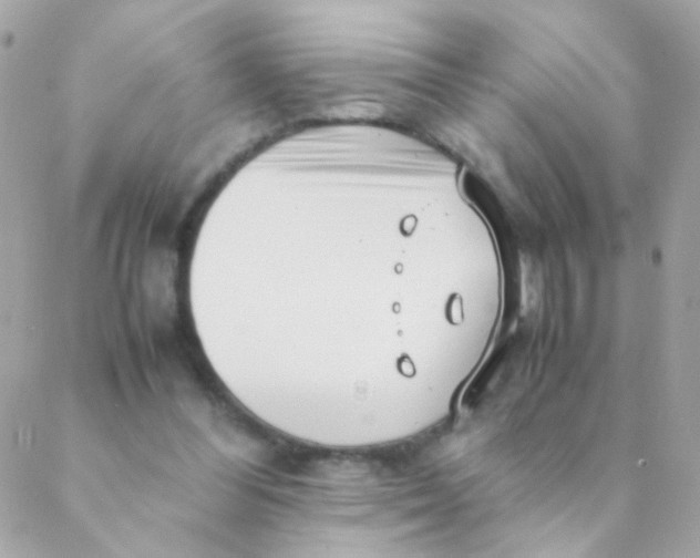 X0000088660300200706152039