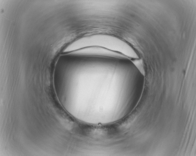 X0000088660303200706152039