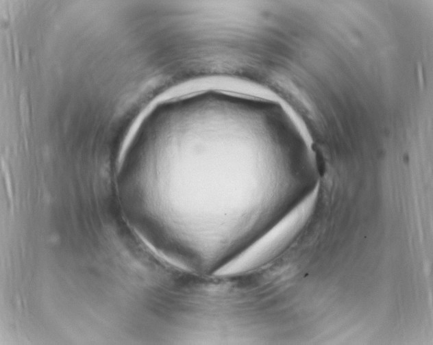 X0000088660306200706152039