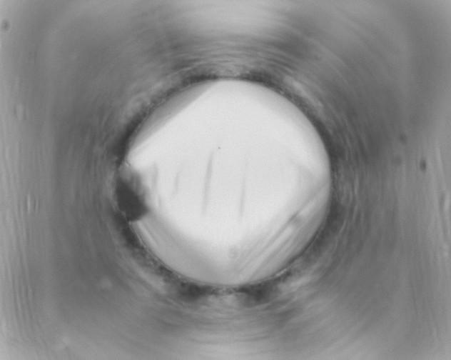 X0000088660307200706152039