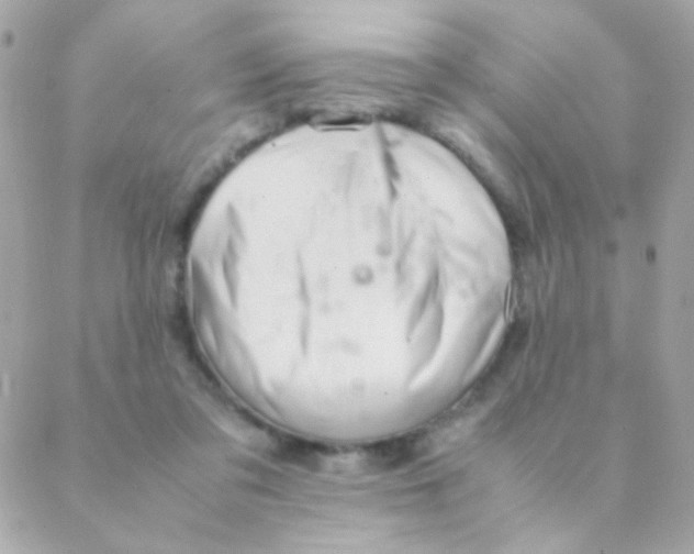 X0000088660309200706152039