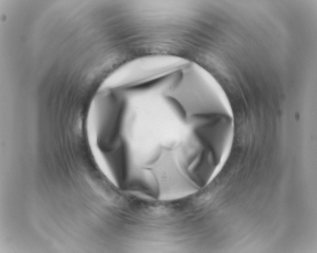 X0000088660310200706152039