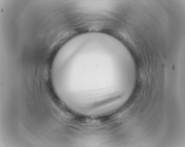 X0000088660311200706152039
