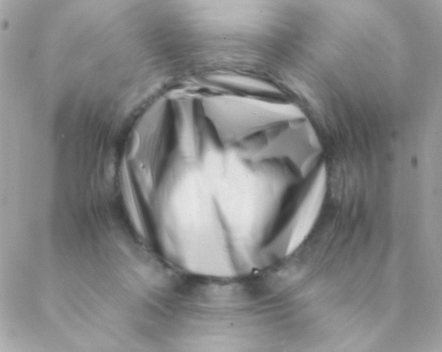 X0000088660314200706152039