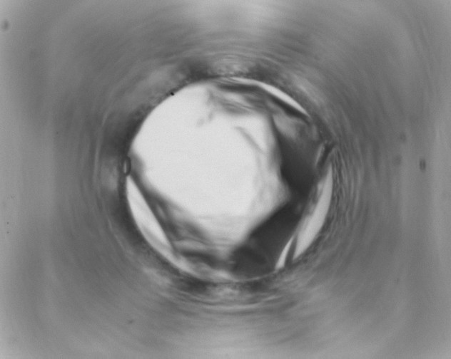 X0000088660315200706152039
