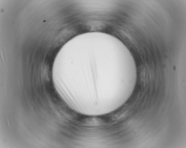 X0000088660316200706152039