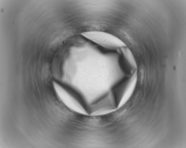 X0000088660318200706152039