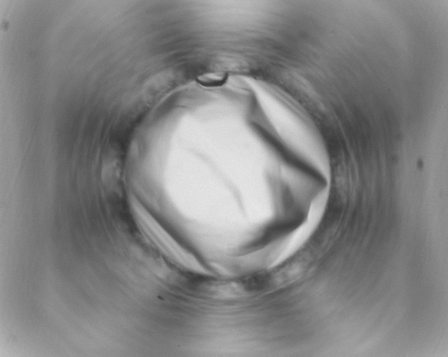 X0000088660322200706152039