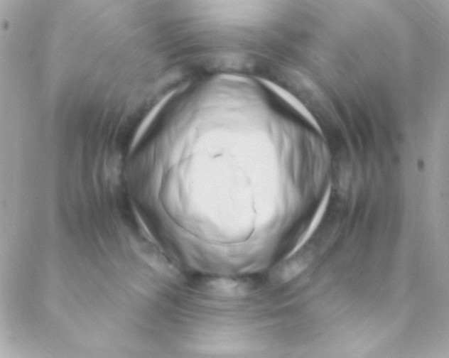 X0000088660326200706152039