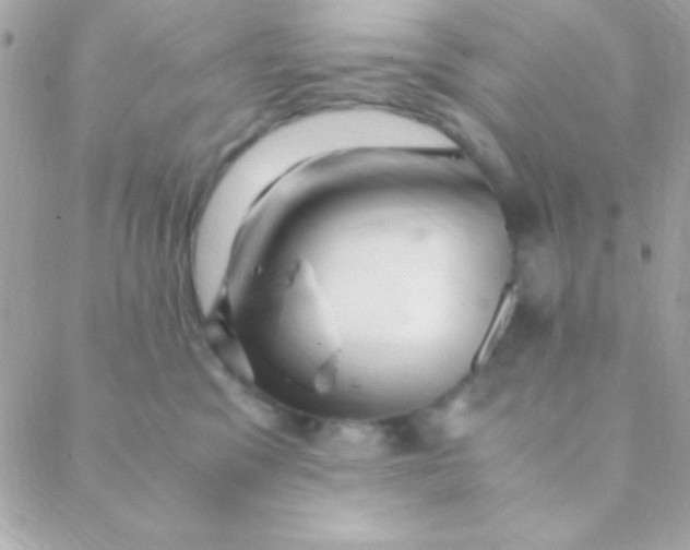 X0000088660329200706152039