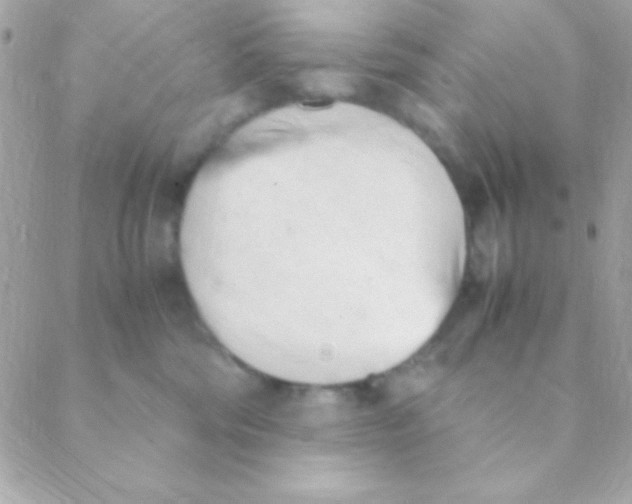 X0000088660330200706152039