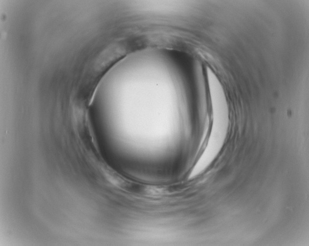X0000088660333200706152039