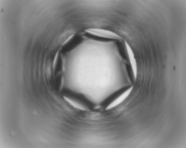 X0000088660334200706152039