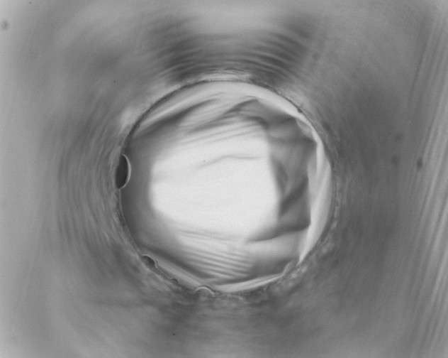 X0000088660337200706152038