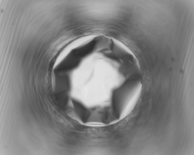 X0000088660338200706152038