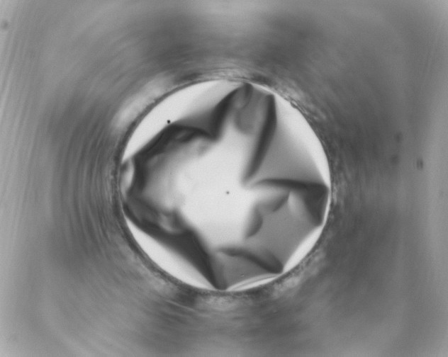 X0000088660341200706152038