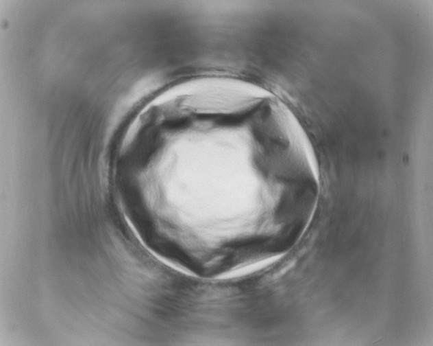 X0000088660343200706152038