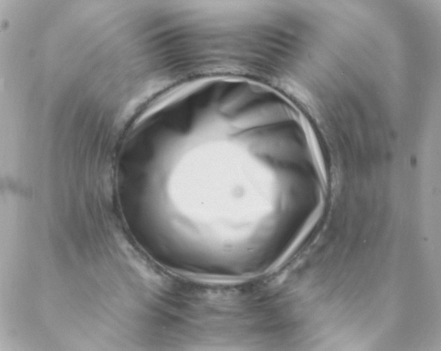 X0000088660345200706152038