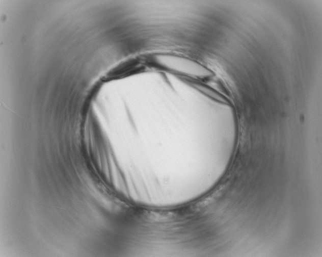 X0000088660346200706152038