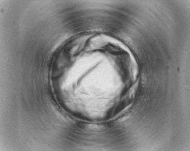 X0000088660347200706152038
