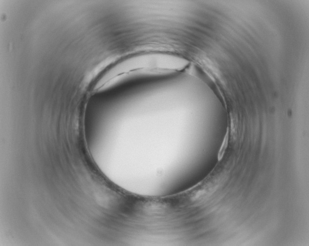 X0000088660348200706152038