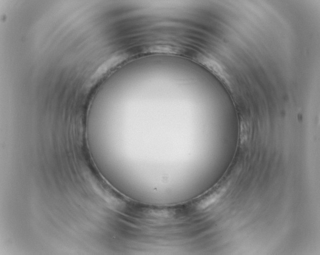 X0000088660349200706152038