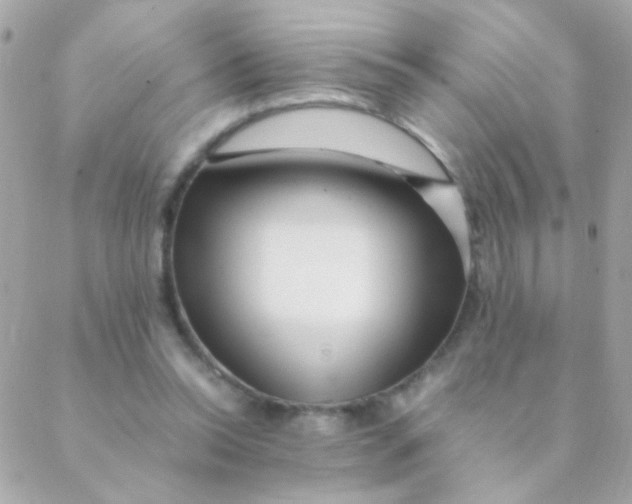 X0000088660350200706152038
